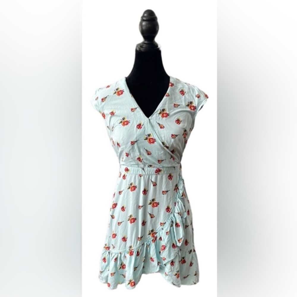 J. Crew: Light Blue Dress with Red Floral Pattern